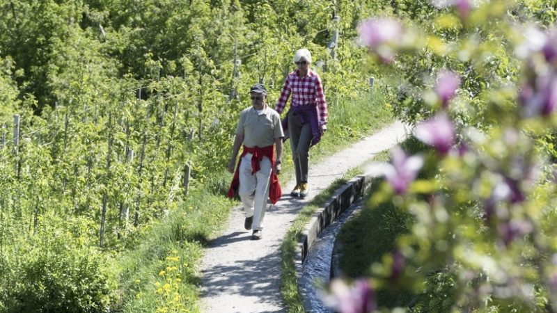 Alto Adige: passeggiate golose alla scoperta di Lana