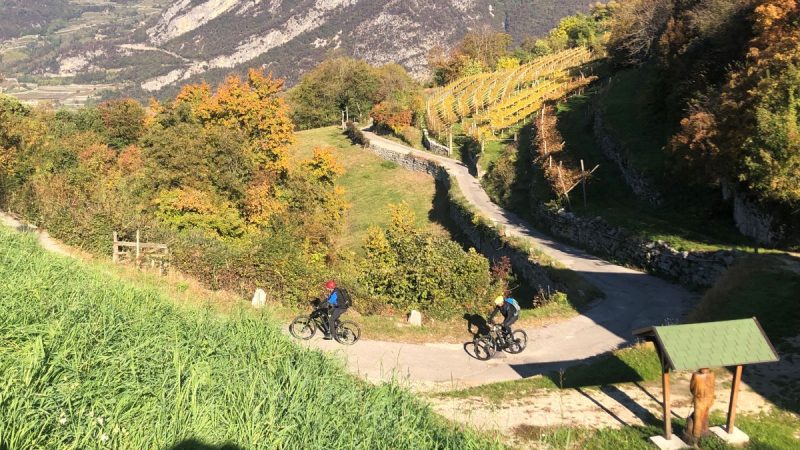 Trentino, la Strada del Vino e dei Sapori lancia Taste&Bike