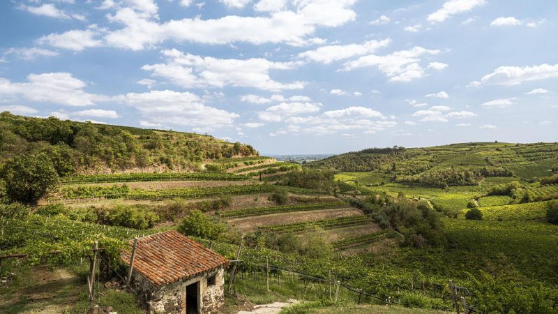 Graziano Prà: vivere il vino in ogni stagione