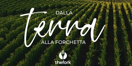 “Dalla terra alla forchetta”: italiani sempre più sostenibili, anche a tavola