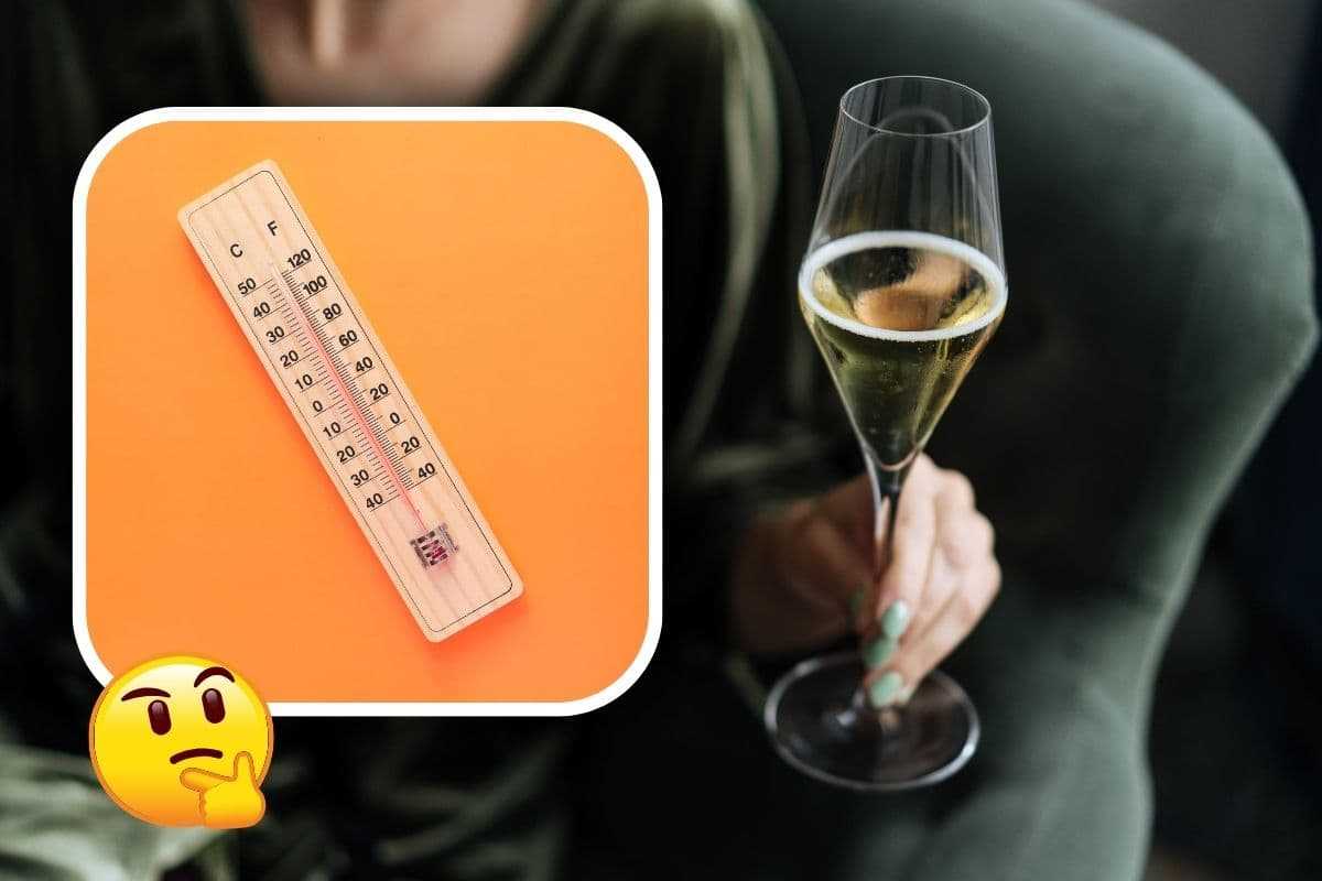 a quale temperatura va bevuto lo champagne?