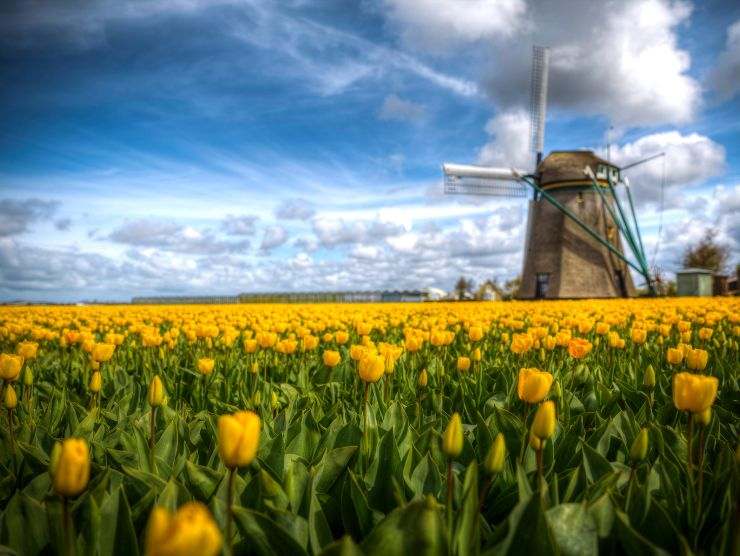 città olandesi meravigliose